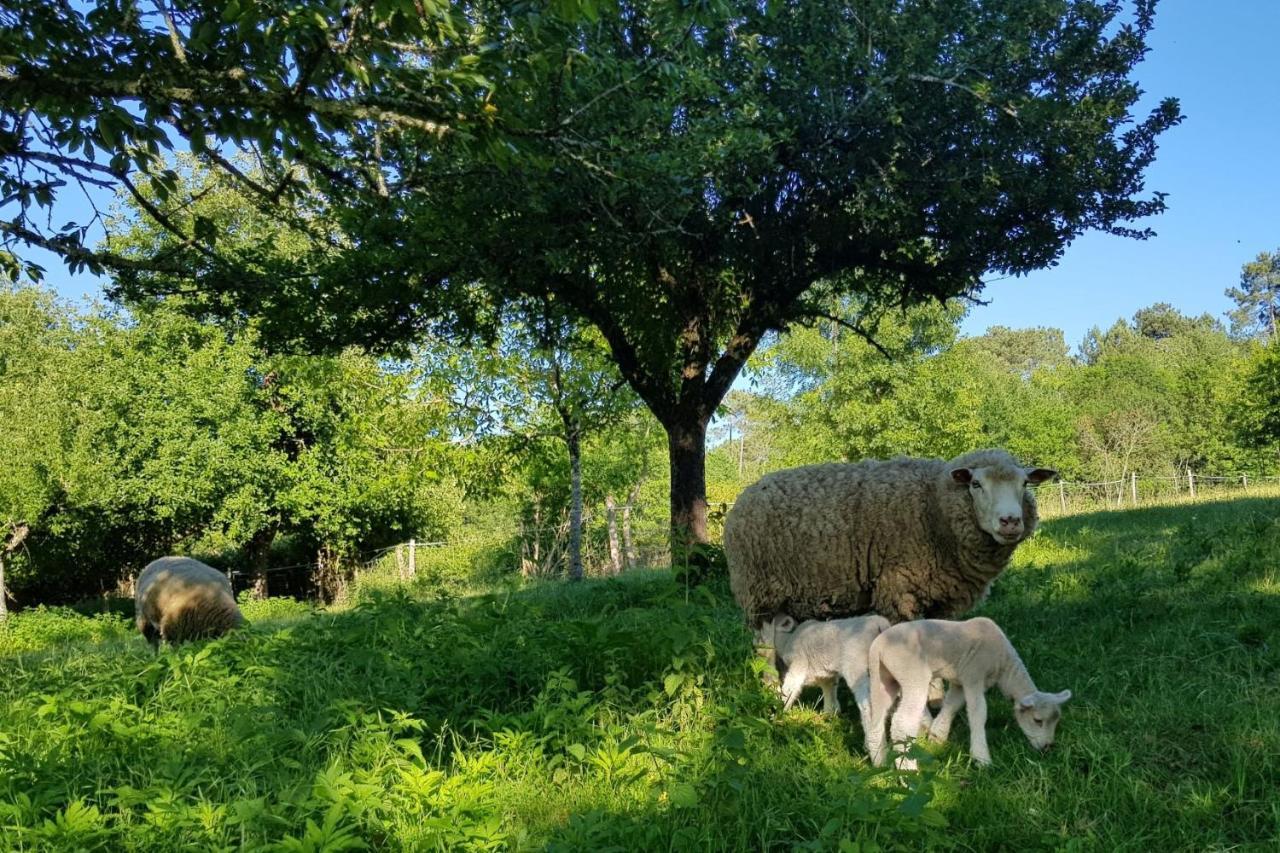 Romantic Mill Cottage 30 Min From Bergerac France Sourzac 외부 사진