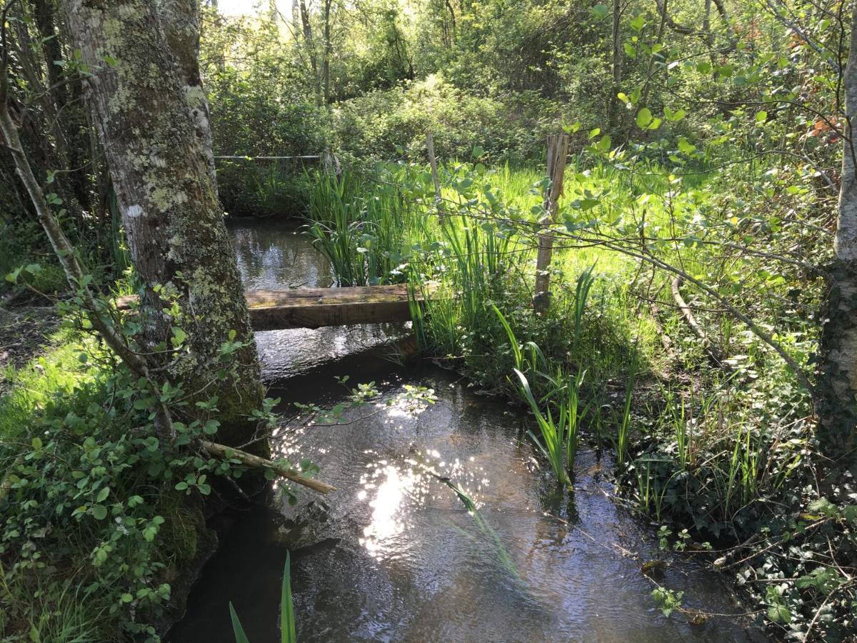 Romantic Mill Cottage 30 Min From Bergerac France Sourzac 외부 사진